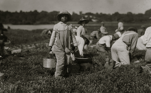 Joe carrying cranberries. Said 10 years old. Picks also. 1911 (photo)