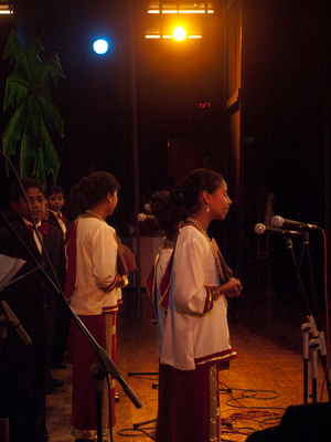 Performing on stage, a mando troupe