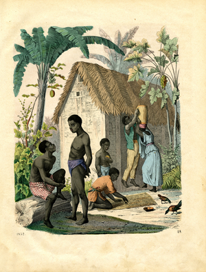 Tropical useful plants and daily life in West Africa (hand-coloured litho)