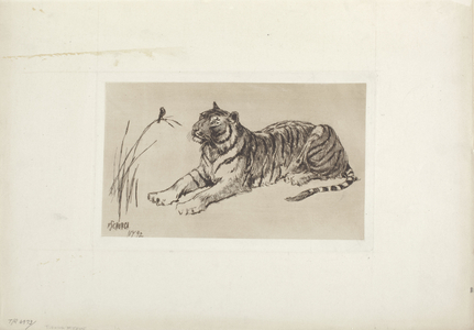 Tiger And Bird (etching with plate tone)
