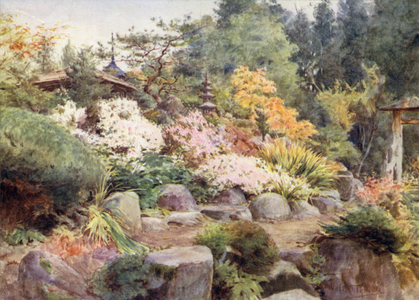 A Rock Garden at Nikko, Cosmos and Maple (colour litho)