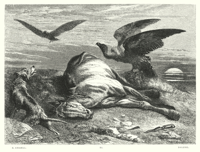 Lord Byron's Childe Harold, Canto I, Stanza 88 (engraving)