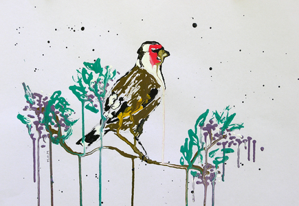 Goldfinch, 2026 (ink on paper)