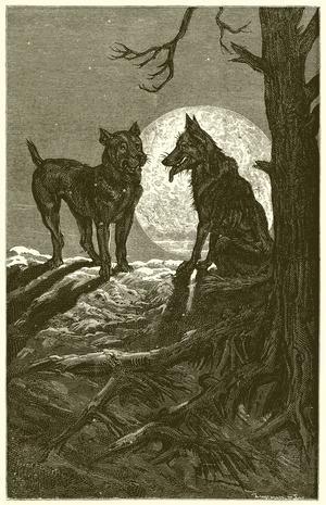 The Wolf and the Mastiff (engraving)