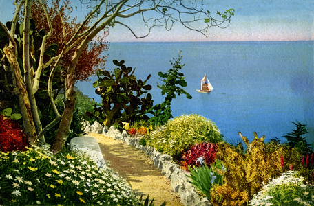 Geography. France. Garden on the French Riviera. Postcard, France, c.1920 (postcard)