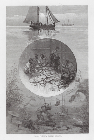 Pearl Fishery, Torres Straits (engraving)
