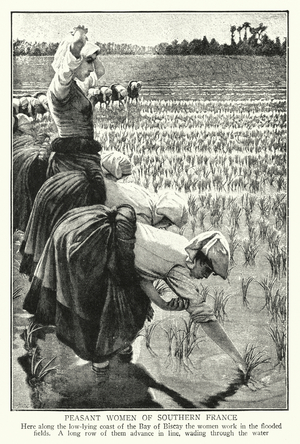 Peasant women of Southern France (litho)