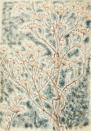Dried Summer Flower, 1972 (gouache on paper)
