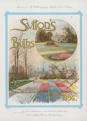Sutton's Bulbs for 1896 (chromolitho)