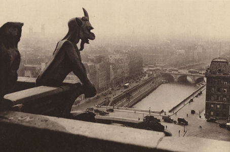 Paris: La Seine et la Rive gauche vues des tours de Notre-Dame; The river Seine seen from "Notre-Dame" tower (b/w photo)