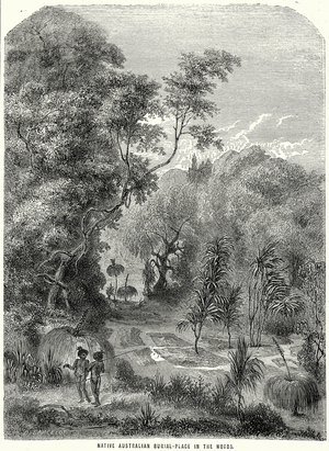 Native Australian Burial-Place in the Woods (engraving)