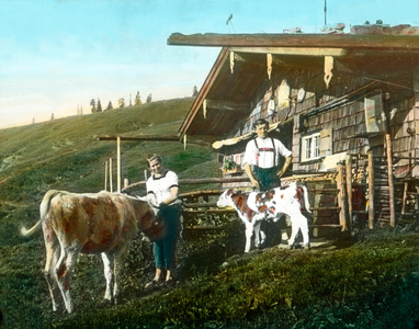 Cattle herders at a mouontain meadow