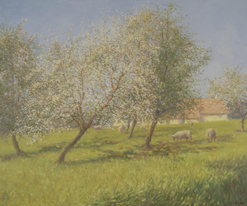 Apple Blossom (oil on canvas)