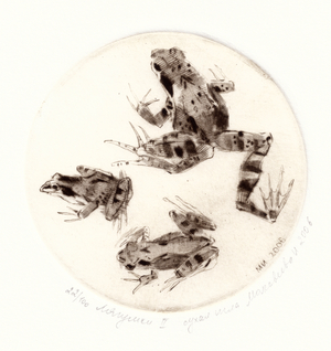 Frogs, 2006 (drypoint)