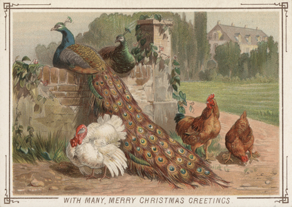 Christmas card (colour litho)