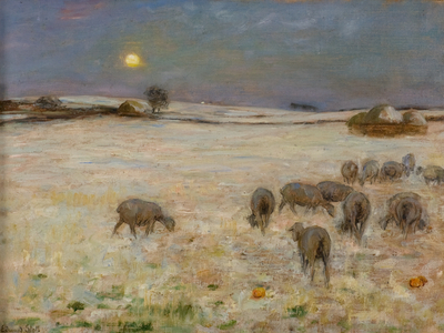Sheep in Snow (oil on canvas)