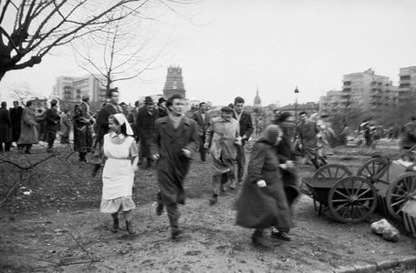 The Hungarian Revolution …, 1956 (photo)