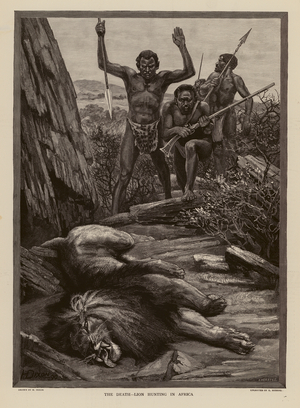 Lion hunting in Africa (engraving)