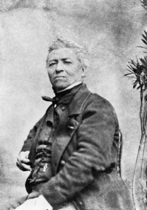 Portrait of Jean Dominique Ingres (b/w photo)