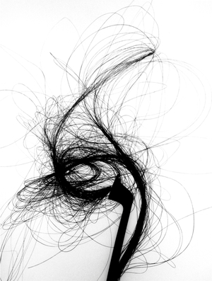 Artistic picture of a violin bow.