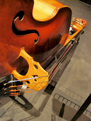 double bass