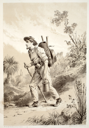 Digger on the Tramp, from The History of Australasia by David Blair, McGrady, Thomson, and Niven, 1879 (engraving)