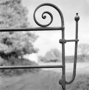 Gate latch (b/w photo)