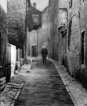 Saxony-Anhalt Freyburg 1991 (photo)