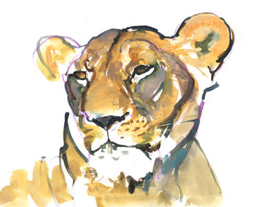 The Lioness (mixed media on paper)