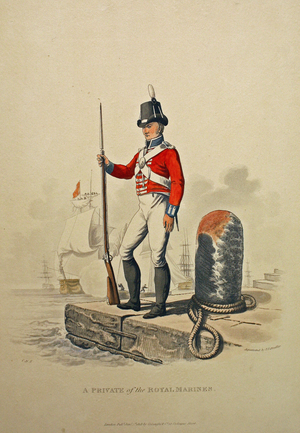 A Private of the Royal Marines, engraved by Joseph Constantine Stadler, published 1815 (aquatint)