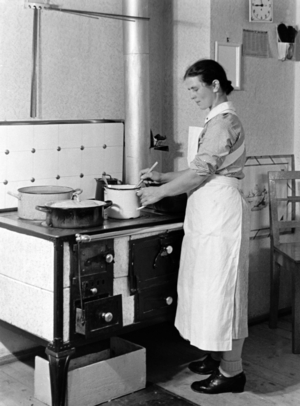 Third Reich - society - household help 1930s (photo)