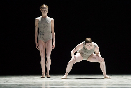 Nederlands Dans Theatre 2