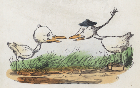 Two birds facing each other (coloured engraving)