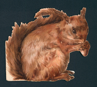 Red squirrel, Victorian scrap (chromolitho)
