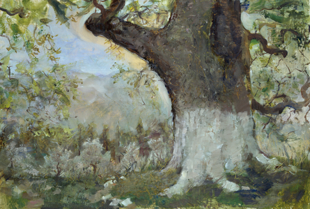 Tree trunk in Euboea, 1998 (Oil on Panel)