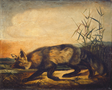 Long-Tailed Red Fox, 1848-1854 (oil on canvas)