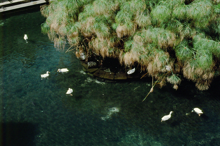 The Well of Arethusa is supposed to date from the foundation of the town of Syracuse