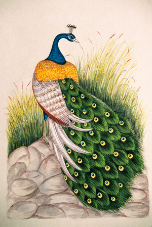Miniature Painting on Silk Peacock