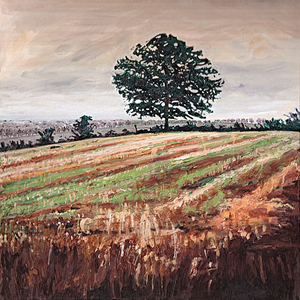 Late Afternoon field, 2009, (oil on canvas)