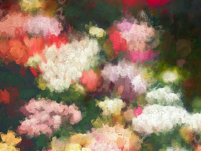 Garden of the Heart, 2018  (digital painting)