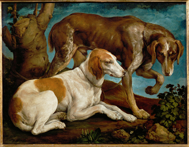 Two hunting dogs tied to a tree-stump, 1548-50 (painting on canvas)