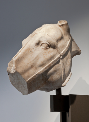 Tête de cheval avec harnais, - (Marbre)