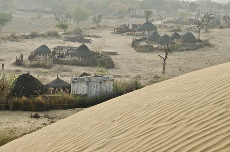 Desert settlement at foot of sanddune in sunrise light: Clusters of thatched round huts protected by livestock barriers made from spiky branches, heavily pruned khejri trees,
Gagadi (aka. Gagari) village, Rajasthan, India (photo)