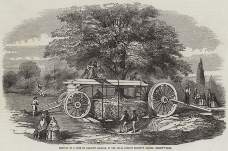 Removal of a Tree by Barron's Machine, in the Royal Botanic Society's Garden, Regent's-Park (engraving)