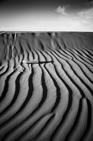 Lines of Control II, 2013 (photo)