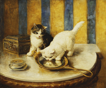 Feline Reflections, (oil on canvas)