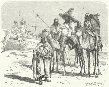 Tuaregs (engraving)