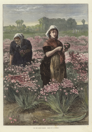 For the London Market (coloured engraving)