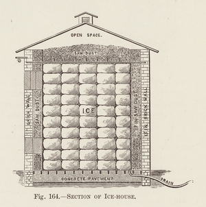 Section of Ice-house (engraving)