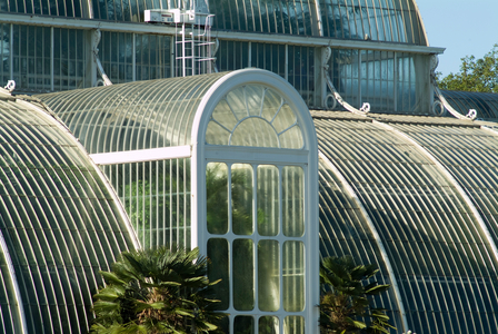 Palm House autumn leaves, 2006 (photo)